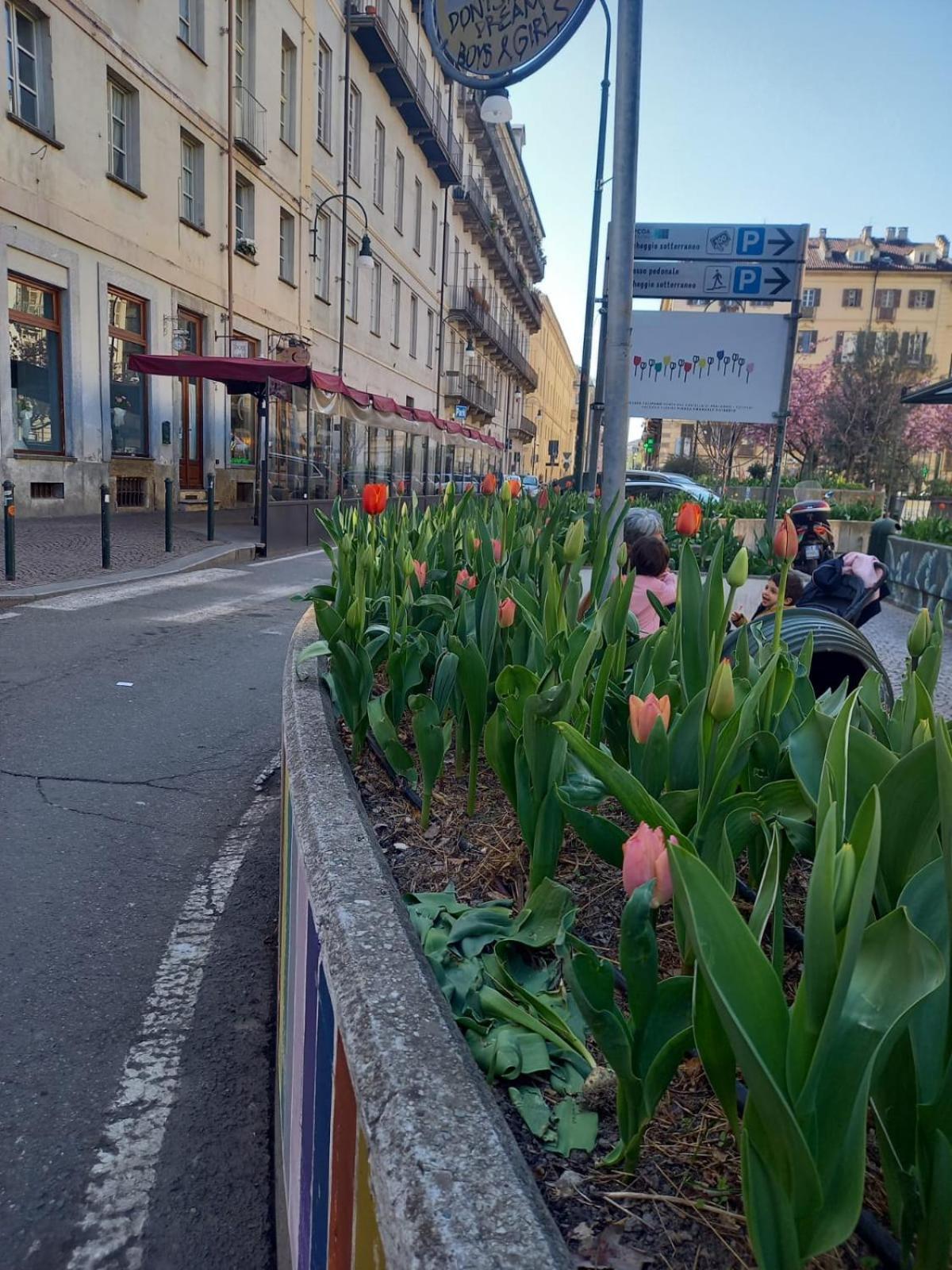 Centralissimo Nel Cuore Del Quadrilatero Di Torino Esterno foto